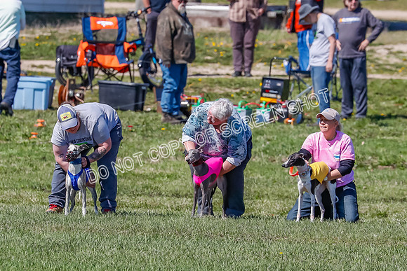 Prelim, Chuck Pearl Quinn-2456