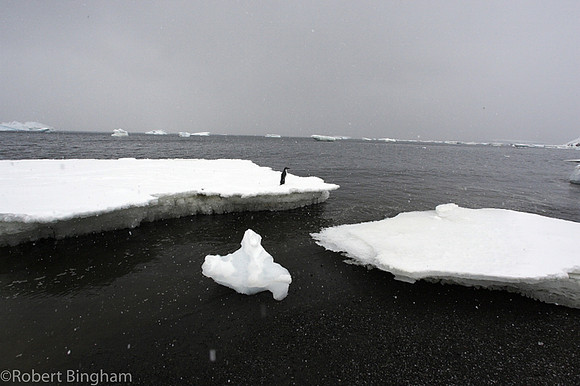 © Robert Bingham_106