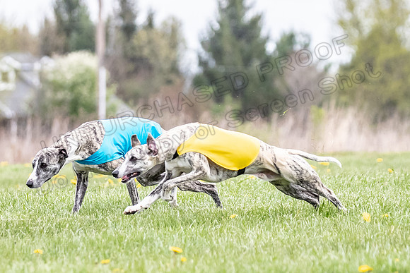Finals Fch B1 Elan Arlo Arrow-9367