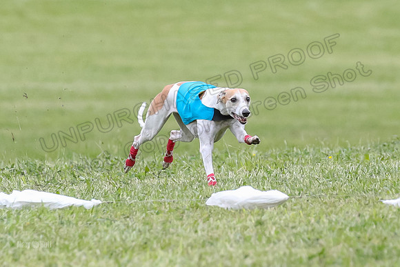 Finals Vets 4, Parker Marley Brag-2387