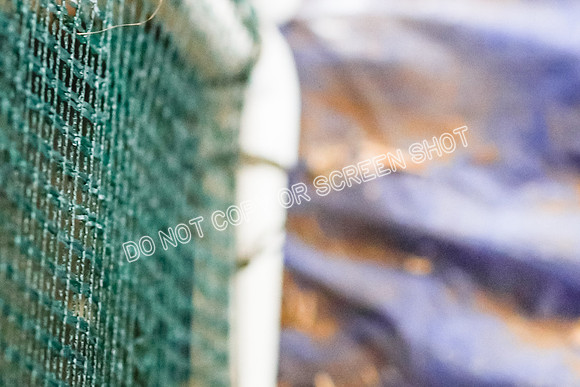 _E4I0348
