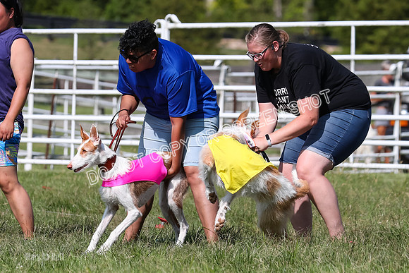 Open Prelim B3, Tavia, Birdie-7921
