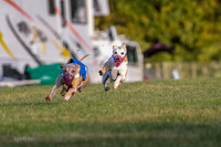 Prg 1, race 1, Arrow Blitz Rosie Floyd-0556