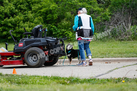 L1 Vehicle-7277