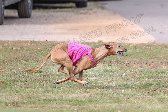 1 prelims Vet Libby Xena-6296