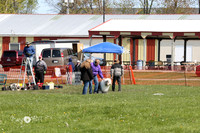 Parks C
