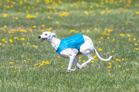 1Prelims Veterans 1 Rosa Marley Luna-1616