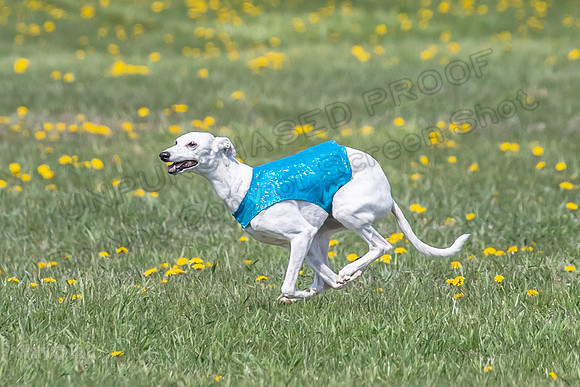 1Prelims Veterans 1 Rosa Marley Luna-1616
