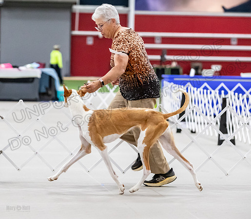 AE4I2970