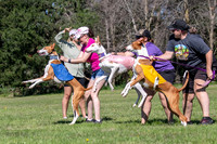 Prelims Fch 1 Ginny Willow Madyson-5428
