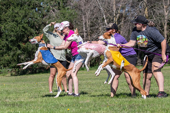Prelims Fch 1 Ginny Willow Madyson-5428