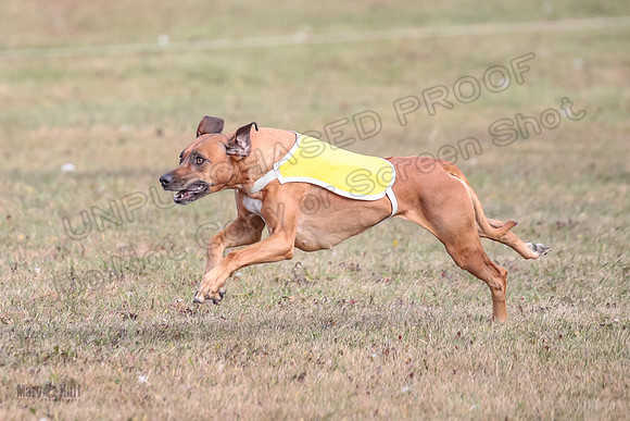1 prelims Fch 2 Remmy Opal Oslay-6282