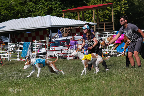 Open Prelim A1, Rose Riptide Idina-7560
