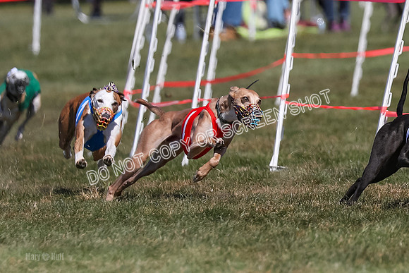 Prg 3, Race 6, Micky Sansa Power Arrow-2060
