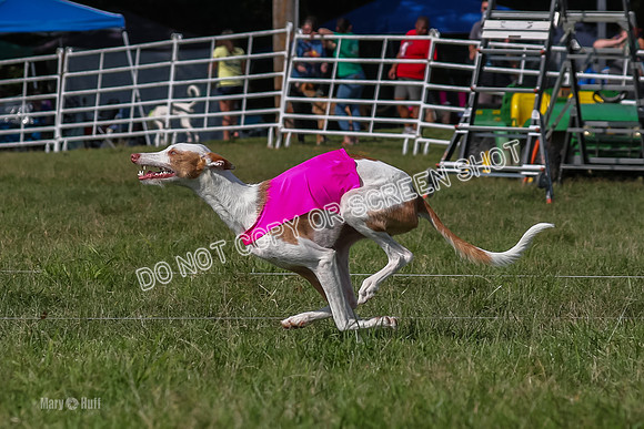 Prelims Kuiper-7460