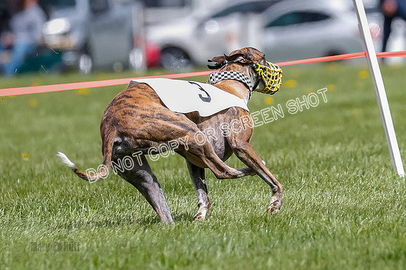 NOTRA Program 2, Race 3, Picanha Bibi Watson-2-8