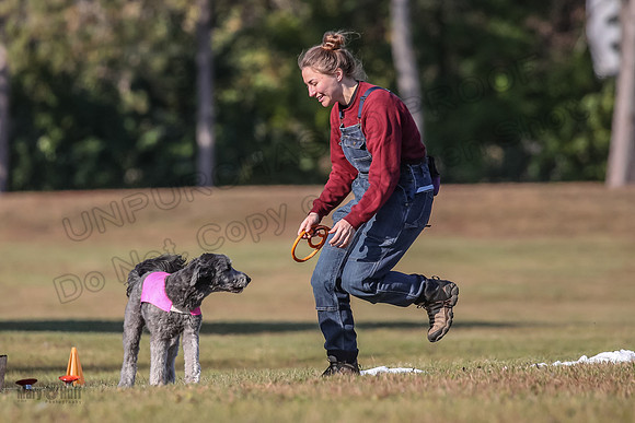 Ellie-4516