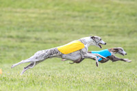 Prelim Specials A1, Booster Leo KinkyBoots-9619