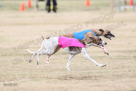 1Prelim Open 3 Eggsy Trixie Treble-3053