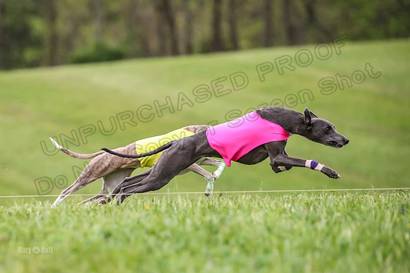 Prelim Open E4, Sassy Sneakers-5036