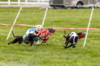 NOTRA Program 4, Race 1, Warrior Barley Flair Victor-2-15