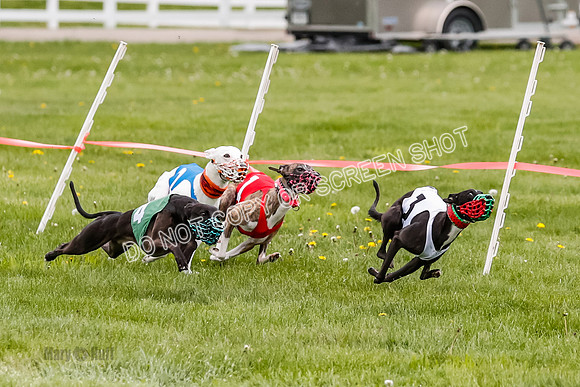 NOTRA Program 4, Race 1, Warrior Barley Flair Victor-2-15