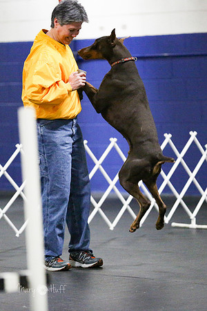 HO4A9962