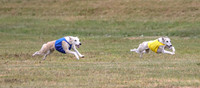 1 Prelims Open 1 AnnieOakley Fennec Zero-1234