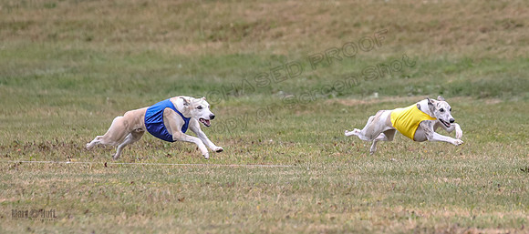 1 Prelims Open 1 AnnieOakley Fennec Zero-1234