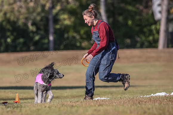 Ellie-4515