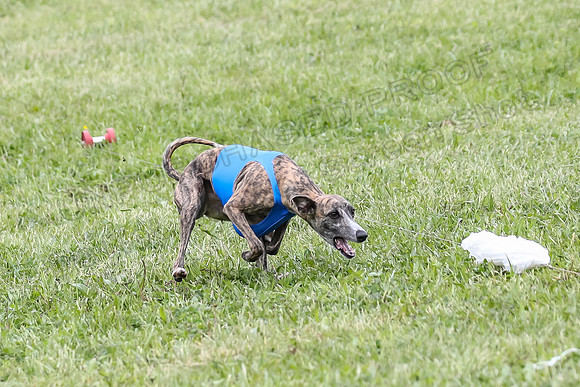 Finals Open A4, Steve Teak Zoe-410365