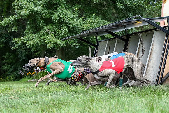 prg 1 race 4 lola Willow Finely Ullr Ready-3577