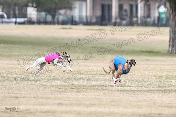 1Prelim Open 3 Eggsy Trixie Treble-3007