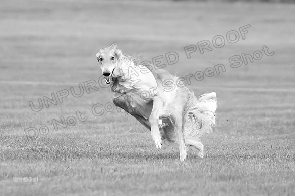 Open Prelim 2, Masquerade Freebie-0532-2