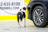 L3 Vehicle-7130