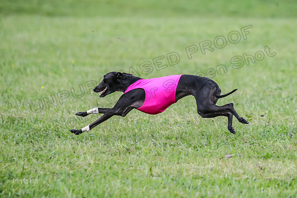 Prelim Open F2, Trippit Sid Fva-9273