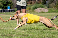 Prelims Fch 1 Islay Opal-5159