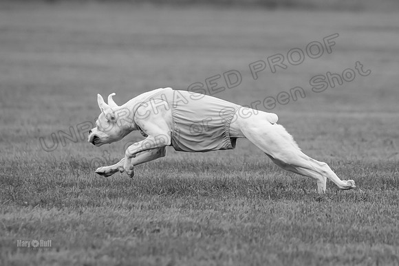 Prelims Nilla-0885-2