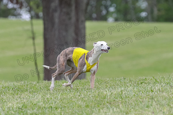 Finals Open G3, Digit Riddle Cuvee-1604