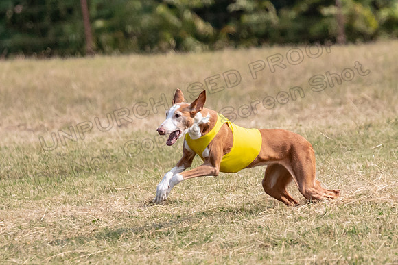 Finals Veteran Izzy Dawn-4264