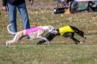 1 prelims 1 Open 2 Drift Zero-6445