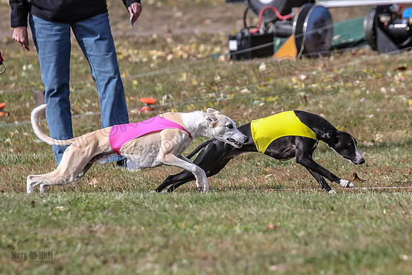 1 prelims 1 Open 2 Drift Zero-6445