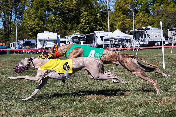 Prg 3, Race 2, Reas Cobalt Mika Blitz-9595