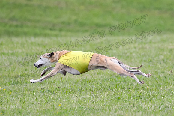 Prelim Veterans 7, RickyBobbie Parker-0281