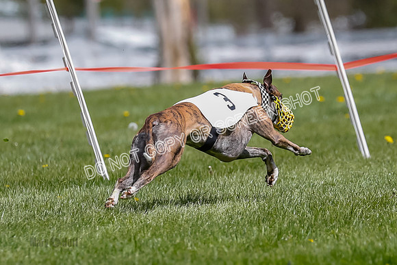 NOTRA Program 2, Race 3, Picanha Bibi Watson-2-9