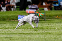Cat Test 1-0188