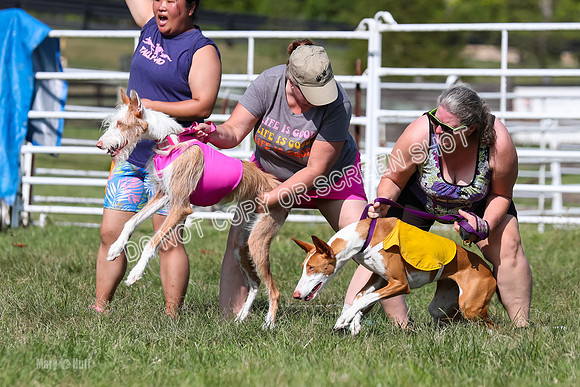 Open Prelim A2, Madyson, Razz-7606