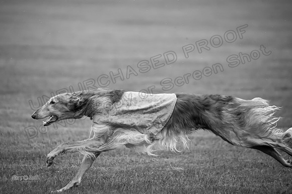 Open Prelim Bluegene Rhett Zen-0500-2