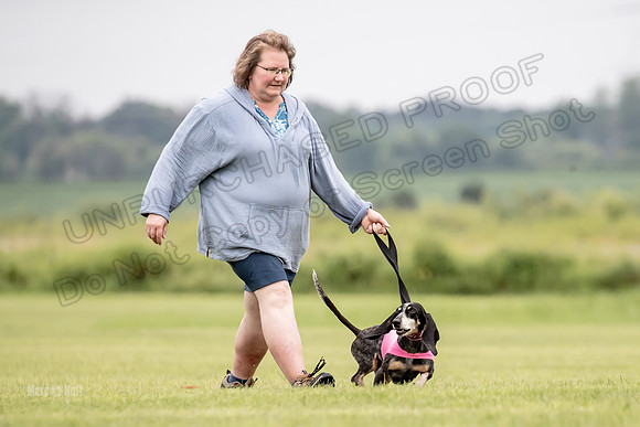 Prelims Mavis-0981
