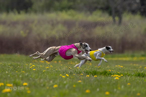 Finals Specials B2 PeteySue Frankie Rush-4625